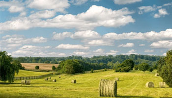 Read more about the article Regional Environmental Coordination Meetings